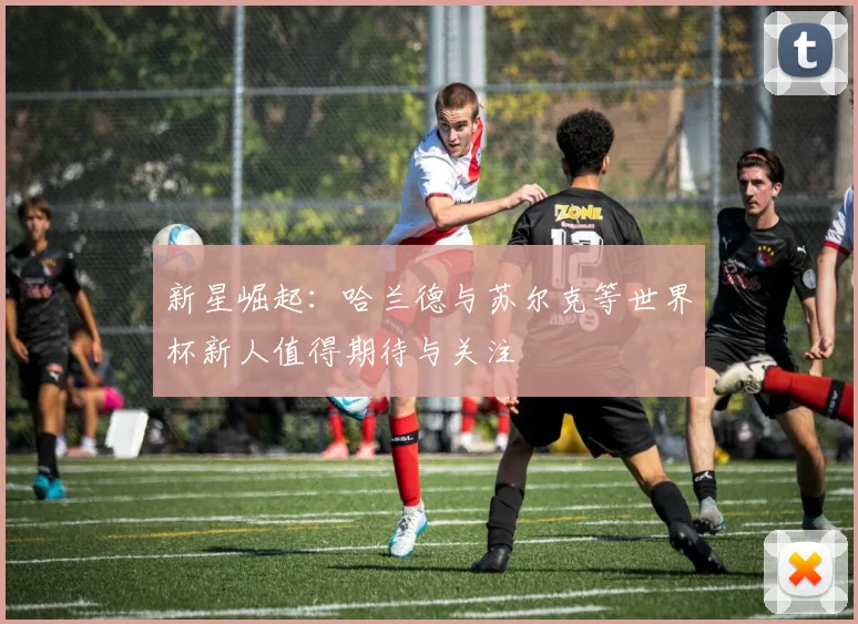 新星崛起：哈兰德与苏尔克等世界杯新人值得期待与关注